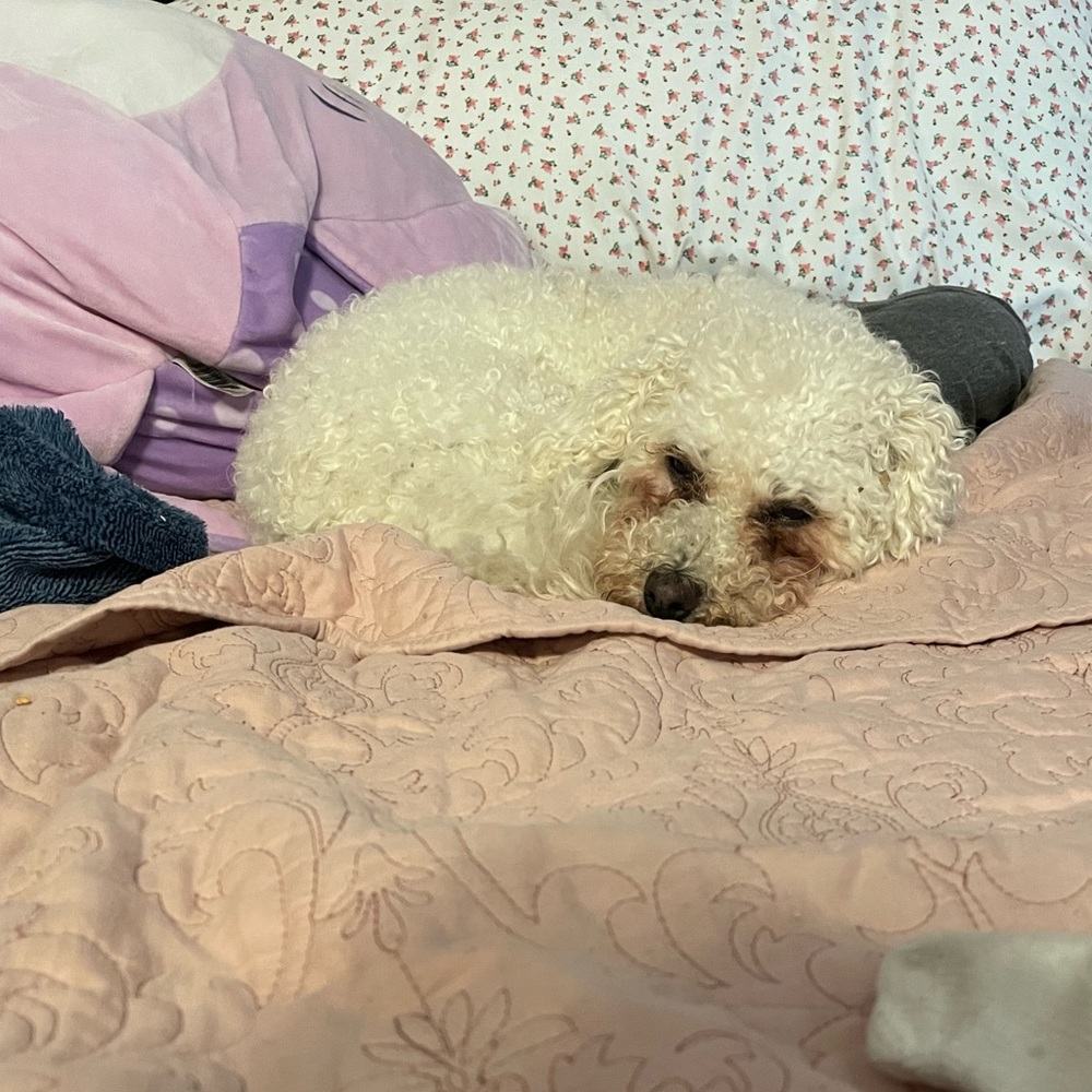 Meet your Posher, A.